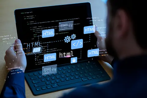 Web Design and Development